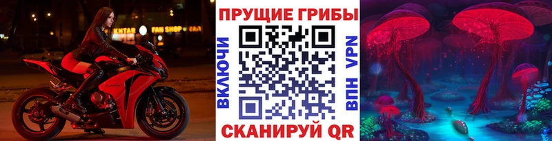 ОМГ ОМГ зеркало  Кувшиново  Псилоцибиновые грибы Psilocybe 